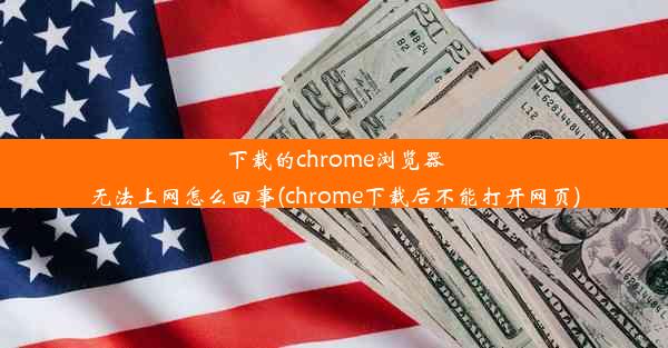 下载的chrome浏览器无法上网怎么回事(chrome下载后不能打开网页)