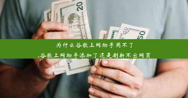 为什么谷歌上网助手用不了,谷歌上网助手添加了还是刷新不出网页