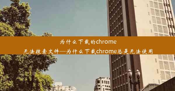 为什么下载的chrome无法搜索文件—为什么下载chrome总是无法使用