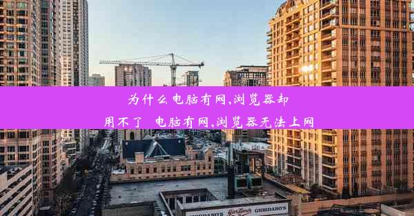 为什么电脑有网,浏览器却用不了_电脑有网,浏览器无法上网