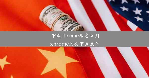 下载chrome后怎么用;chrome怎么下载文件