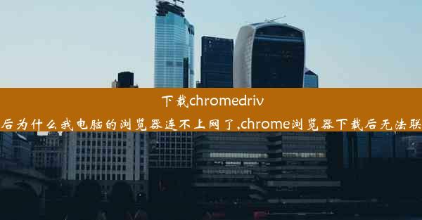 下载chromedriver后为什么我电脑的浏览器连不上网了,chrome浏览器下载后无法联网