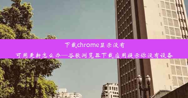 下载chrome显示没有可用更新怎么办—谷歌浏览器下载应用提示你没有设备