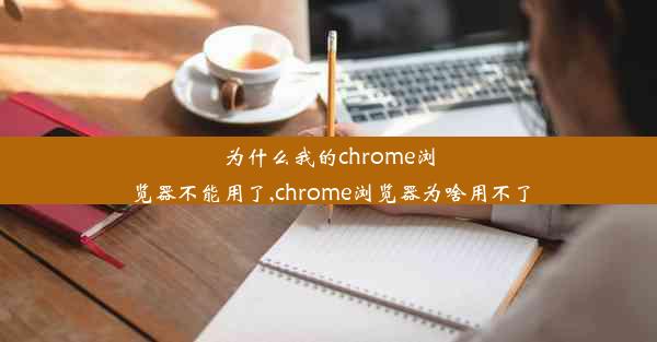 为什么我的chrome浏览器不能用了,chrome浏览器为啥用不了