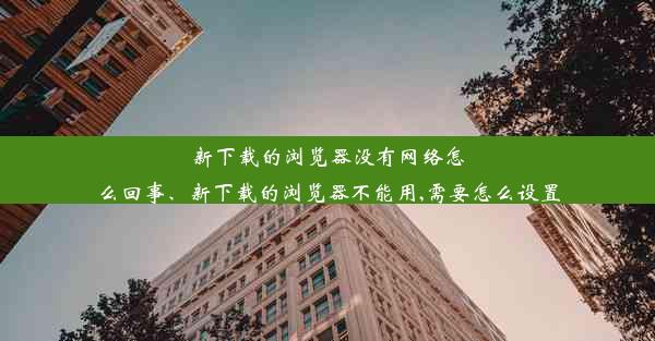 新下载的浏览器没有网络怎么回事、新下载的浏览器不能用,需要怎么设置