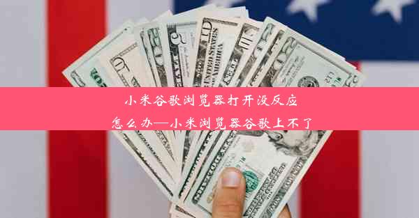 小米谷歌浏览器打开没反应怎么办—小米浏览器谷歌上不了