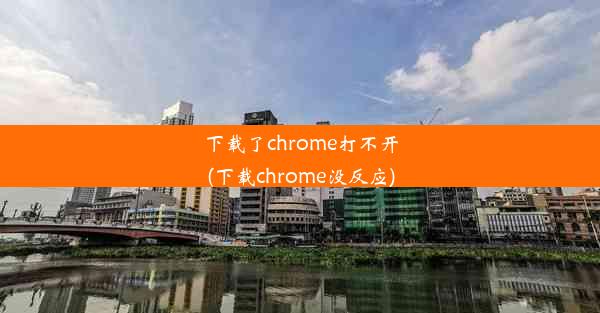 下载了chrome打不开(下载chrome没反应)