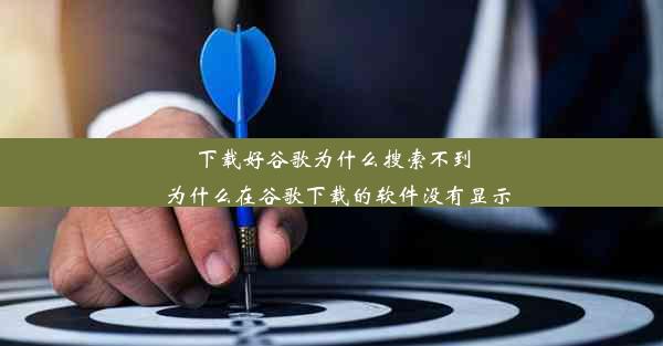 下载好谷歌为什么搜索不到_为什么在谷歌下载的软件没有显示