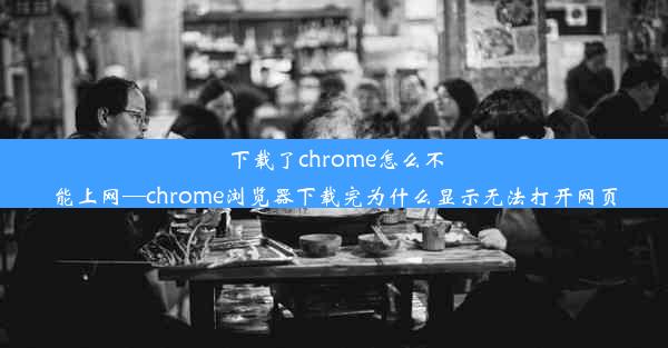 下载了chrome怎么不能上网—chrome浏览器下载完为什么显示无法打开网页