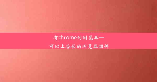 有chrome的浏览器—可以上谷歌的浏览器插件