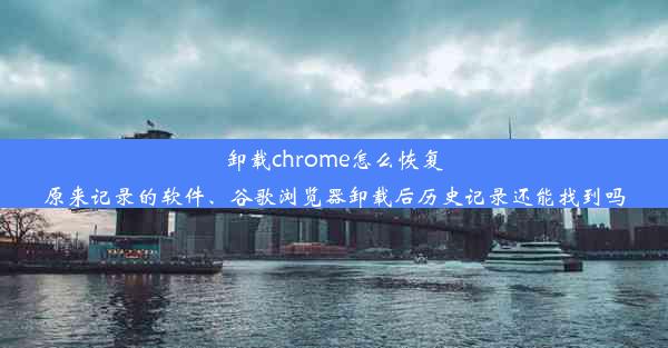 卸载chrome怎么恢复原来记录的软件、谷歌浏览器卸载后历史记录还能找到吗