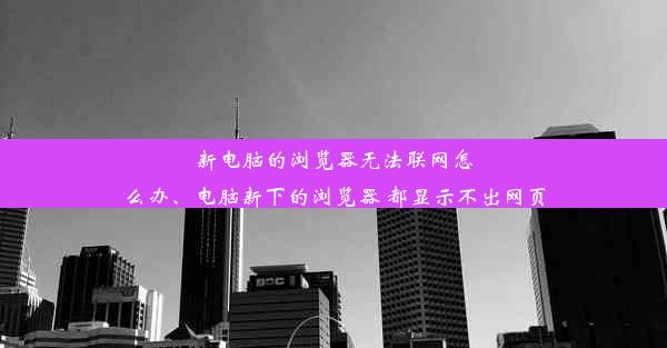 新电脑的浏览器无法联网怎么办、电脑新下的浏览器 都显示不出网页