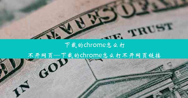 下载的chrome怎么打不开网页—下载的chrome怎么打不开网页链接