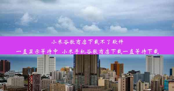 小米谷歌商店下载不了软件一直显示等待中_小米手机谷歌商店下载一直等待下载