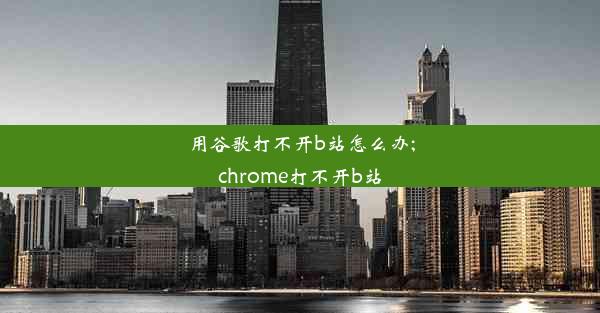 用谷歌打不开b站怎么办;chrome打不开b站