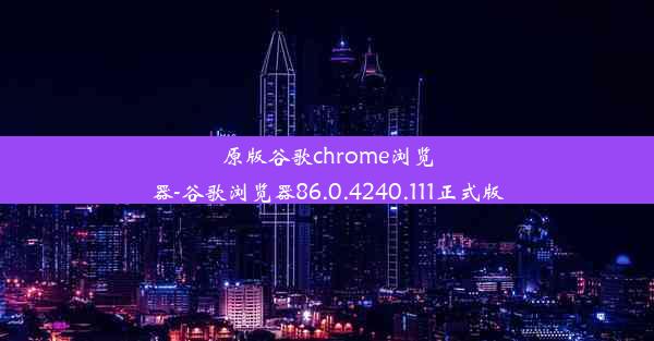 原版谷歌chrome浏览器-谷歌浏览器86.0.4240.111正式版