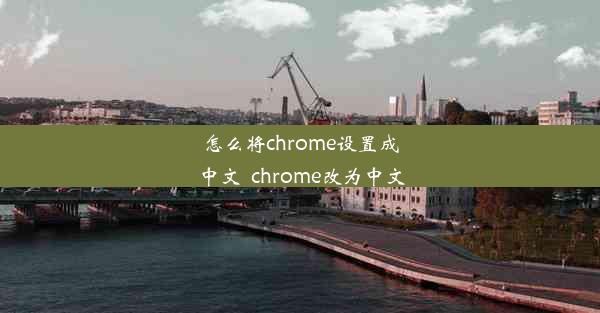 怎么将chrome设置成中文_chrome改为中文