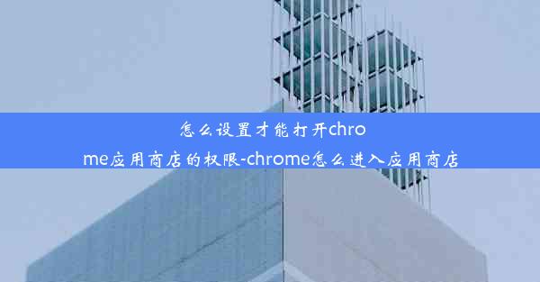 怎么设置才能打开chrome应用商店的权限-chrome怎么进入应用商店