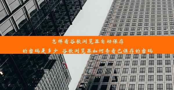 怎样看谷歌浏览器自动保存的密码是多少_谷歌浏览器如何查看已保存的密码