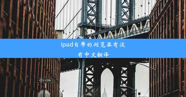 ipad自带的浏览器有没有中文翻译