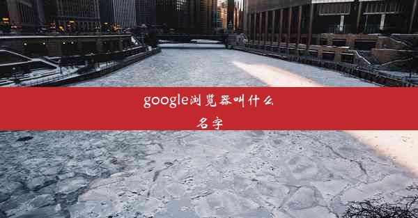 google浏览器叫什么名字