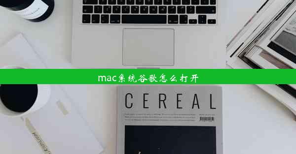 mac系统谷歌怎么打开