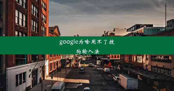 google为啥用不了搜狗输入法