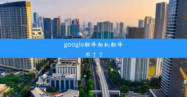 google翻译相机翻译不了了