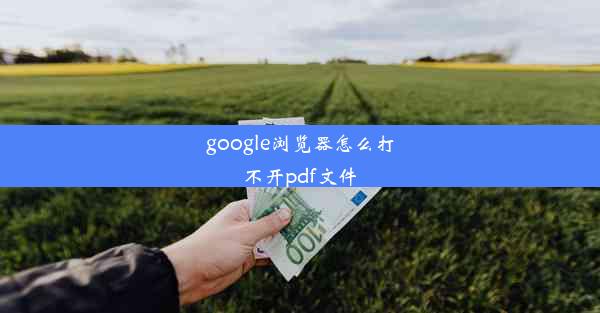 google浏览器怎么打不开pdf文件