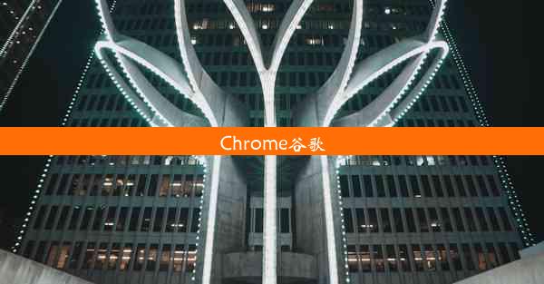 Chrome谷歌