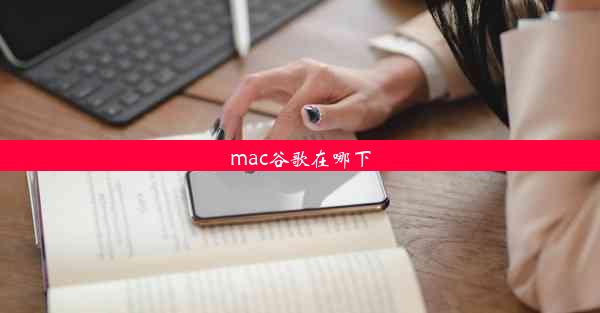 mac谷歌在哪下