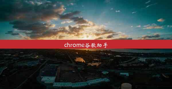 chrome谷歌助手