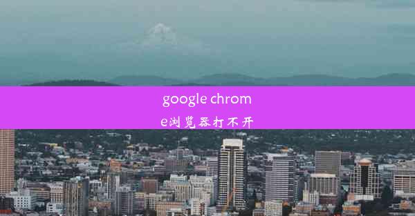 google chrome浏览器打不开