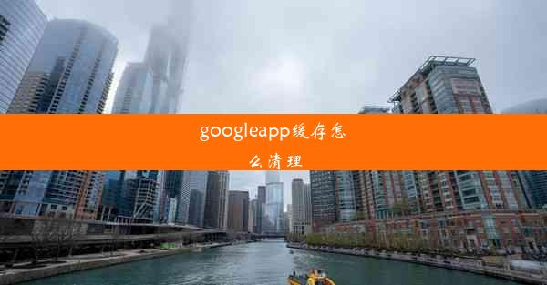 googleapp缓存怎么清理