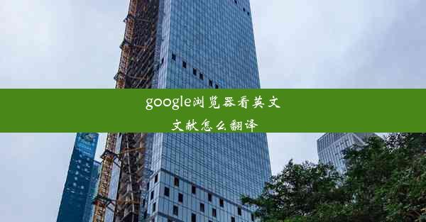 google浏览器看英文文献怎么翻译