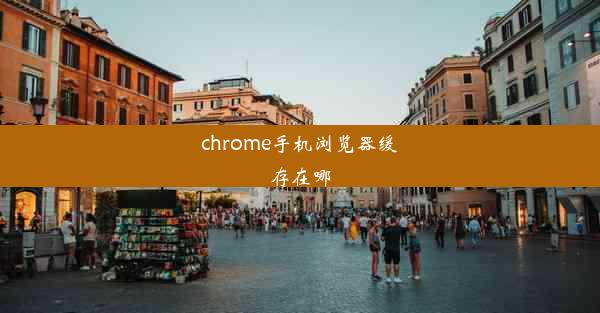 chrome手机浏览器缓存在哪