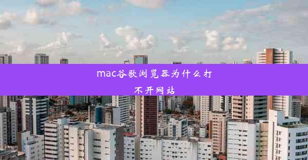 mac谷歌浏览器为什么打不开网站