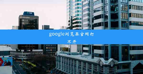 google浏览器官网打不开