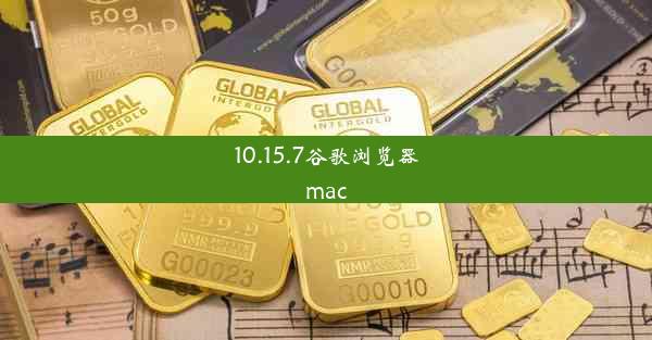 10.15.7谷歌浏览器mac