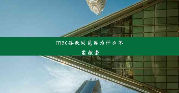 mac谷歌浏览器为什么不能搜索