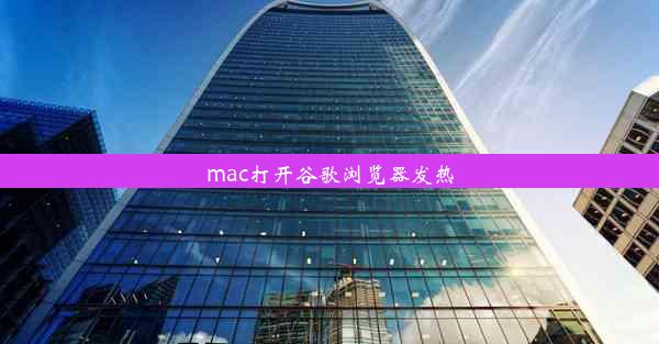 mac打开谷歌浏览器发热