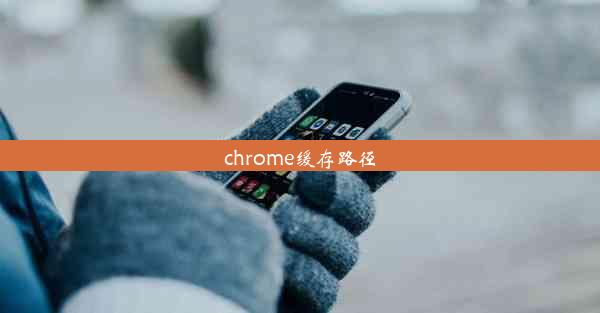 chrome缓存路径