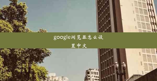 google浏览器怎么设置中文