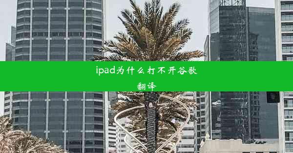 ipad为什么打不开谷歌翻译