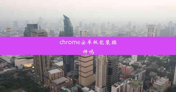 chrome安卓版能装插件吗