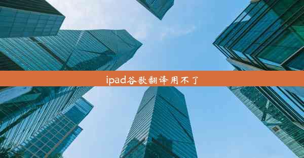 ipad谷歌翻译用不了