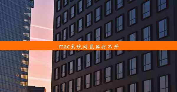 mac系统浏览器打不开