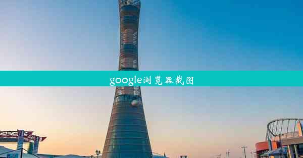 google浏览器截图