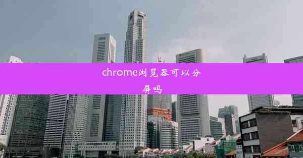 chrome浏览器可以分屏吗