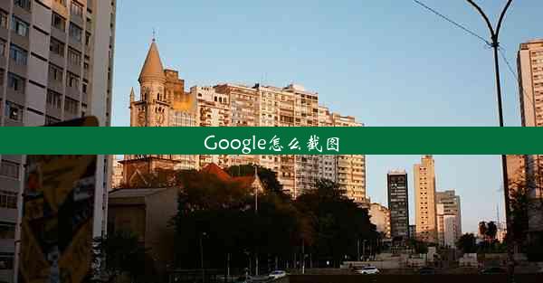 Google怎么截图